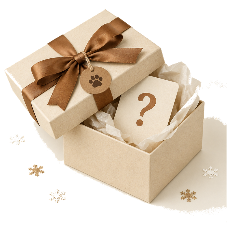 PuffPaw Winter Pup Mystery Box